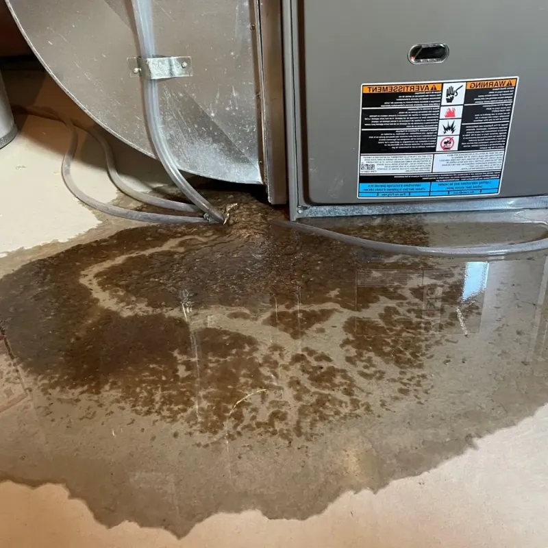 Pipe Burst and Leak Restoration in Elverson, PA
